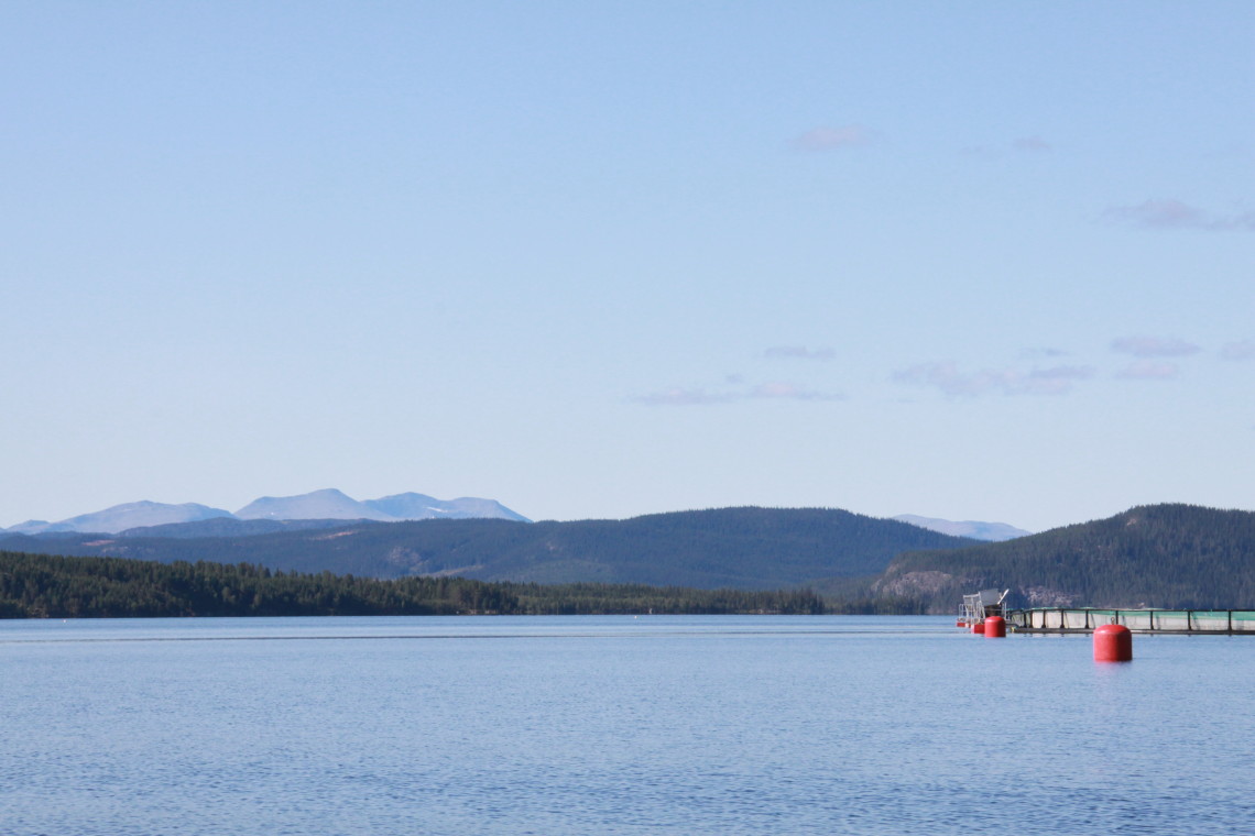 Kvalitetsfisk från Svenska Lappland exporteras till USA!